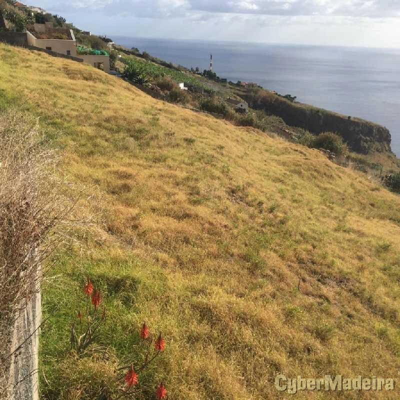 Terreno T0 para Venda Fajã da Ovelha, Fajã da Ovelha