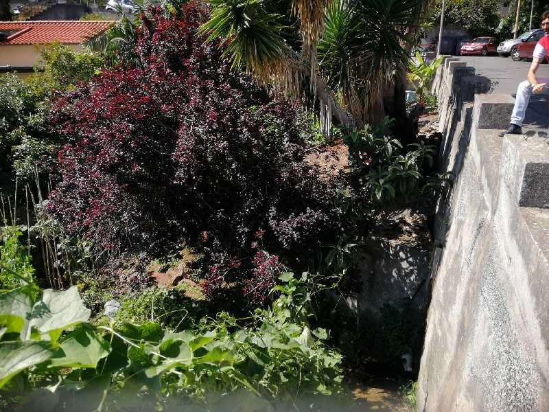 Terreno T0 para Venda São Gonçalo, Boa Nova