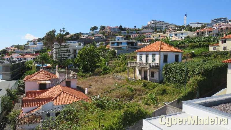 Terreno T0 para Venda São Martinho, Lido