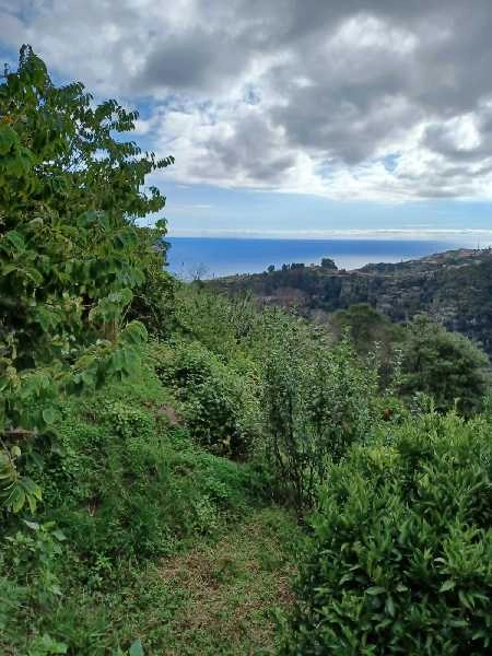 Terreno T0 para Venda Santa Cruz, Morena