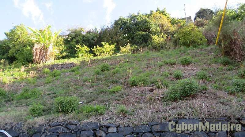 Terreno T0 para Venda Santo António, Laranjal