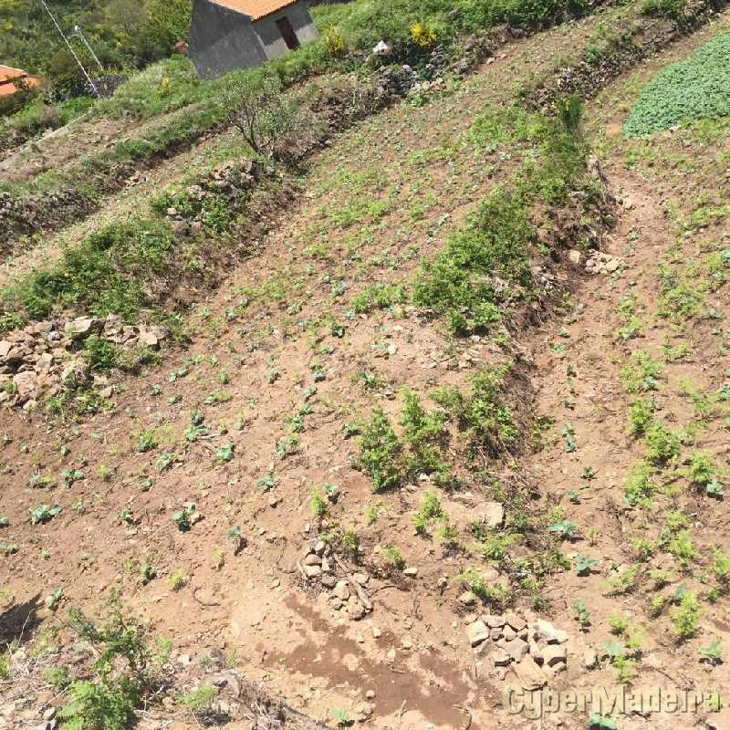 Terreno T0 para Venda Serra de Água, Fajã dos Vinháticos