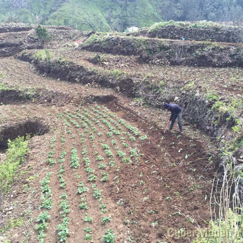 Terreno T0 para Venda Serra de Água, Fajã dos Vinháticos