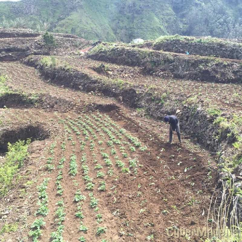 Terreno T0 para Venda Serra de Água, Fajã dos Vinháticos