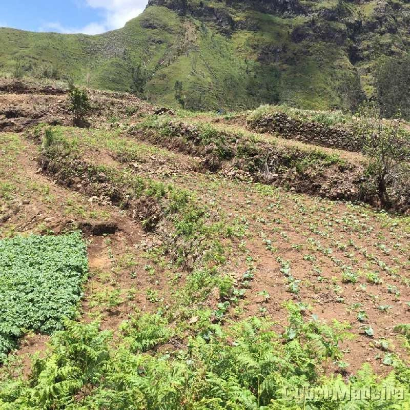 Terreno T0 para Venda Serra de Água, Fajã dos Vinháticos