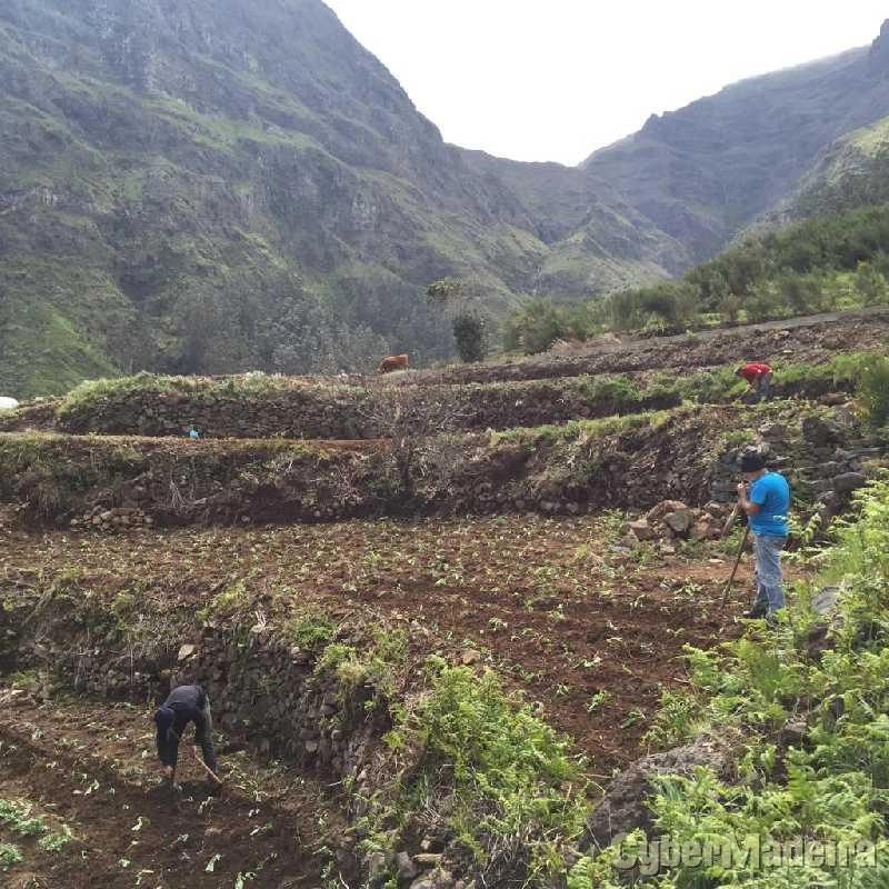 Terreno T0 para Venda Serra de Água, Fajã dos Vinháticos