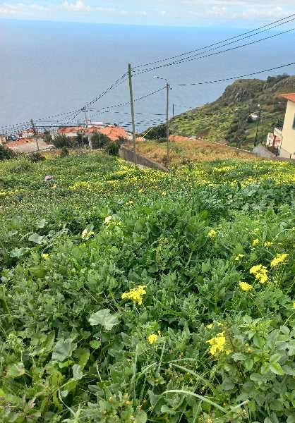 Terreno T3 para Venda Quinta Grande, Centro
