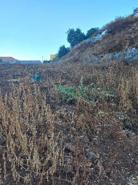 Terreno T3 para Venda Santa Maria Maior, Jardim Botânico