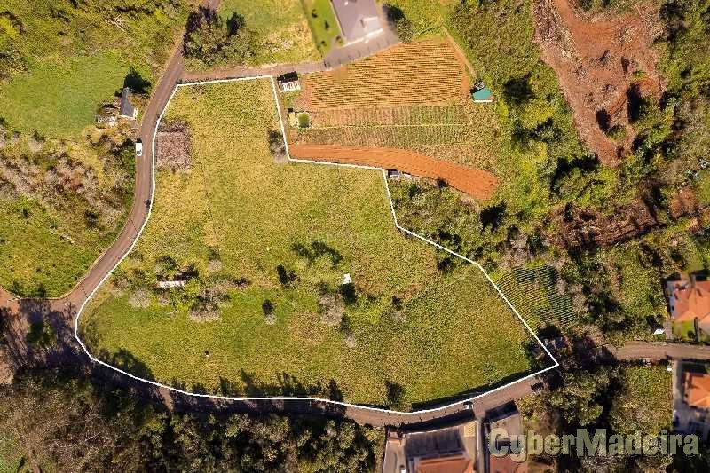 Terreno T3 para Venda Santana, Santana