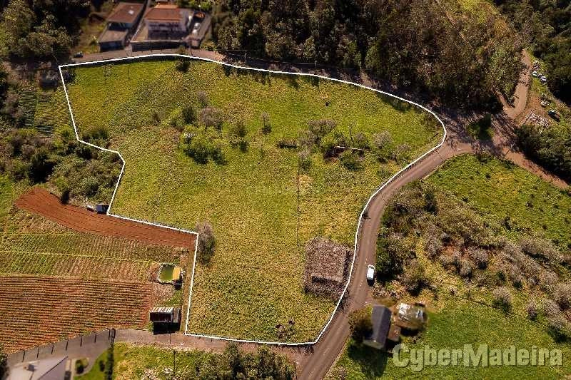 Terreno T3 para Venda Santana, Santana