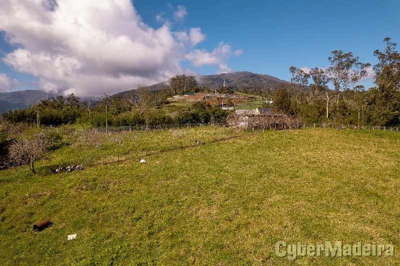 Terreno T3 para Venda Santana, Santana