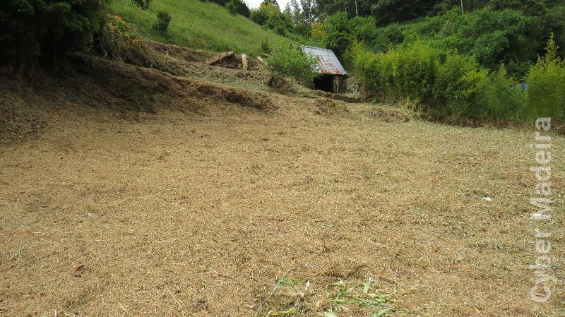 Moradia T2 para Venda Santo António da Serra, Lombo das Faias