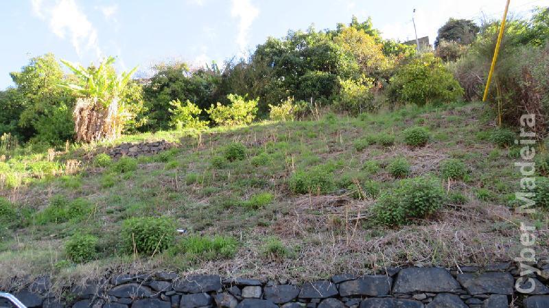 Terreno T0 para Venda Santo António, Laranjal