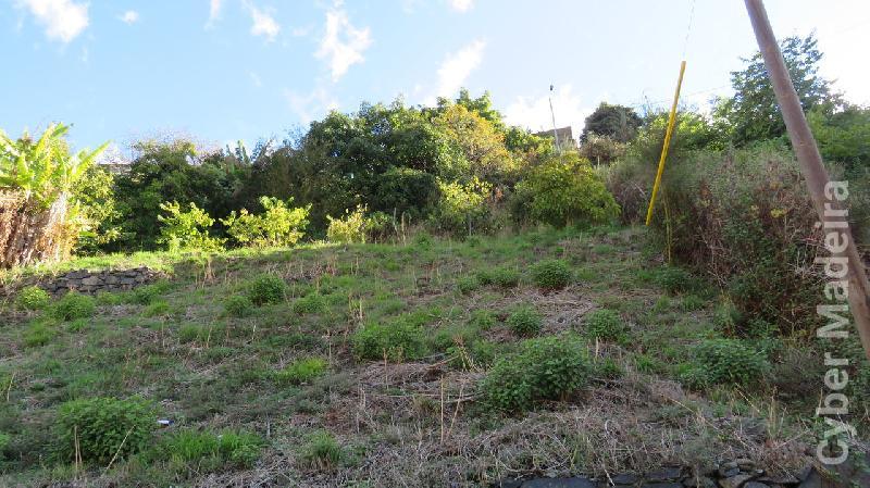 Terreno T0 para Venda Santo António, Laranjal