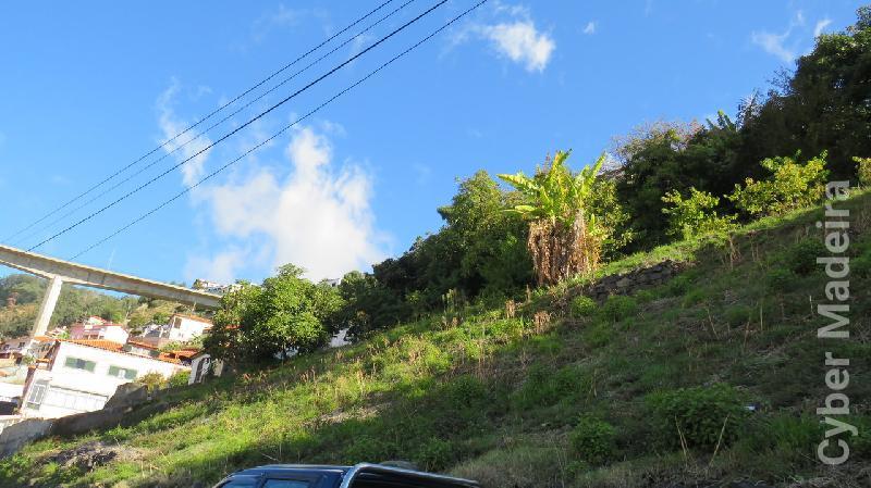 Terreno T0 para Venda Santo António, Laranjal