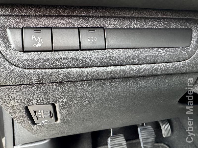 PEUGEOT 2008 1.5 BlueHDi Signature Gasóleo