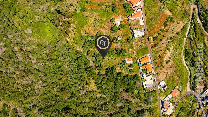 Terreno T3 para Venda Santa Cruz, Eira Nova