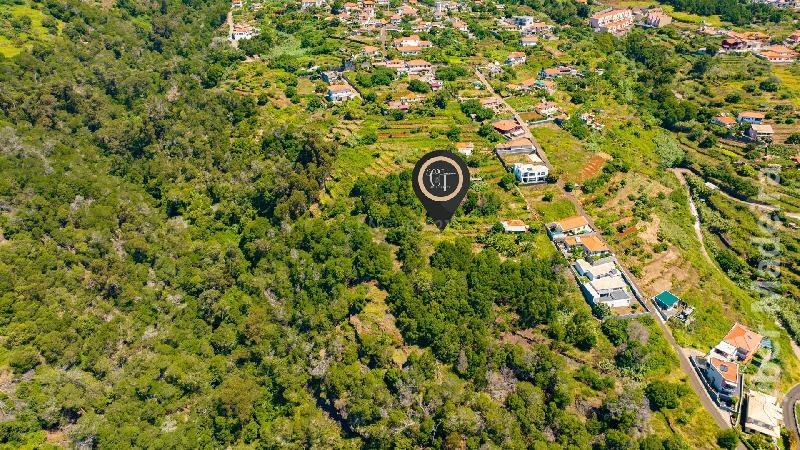 Terreno T3 para Venda Santa Cruz, Eira Nova