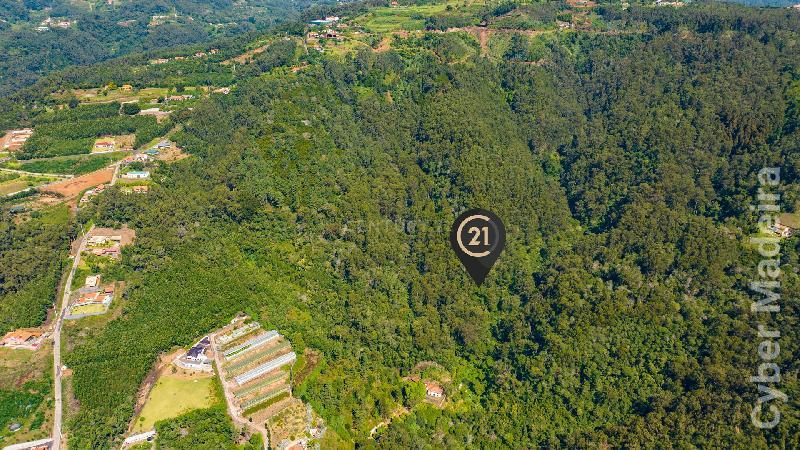 Terreno T3 para Venda Santa Cruz, Morena