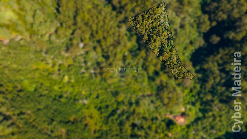 Terreno T3 para Venda Santa Cruz, Morena
