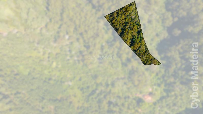 Terreno T3 para Venda Santa Cruz, Morena