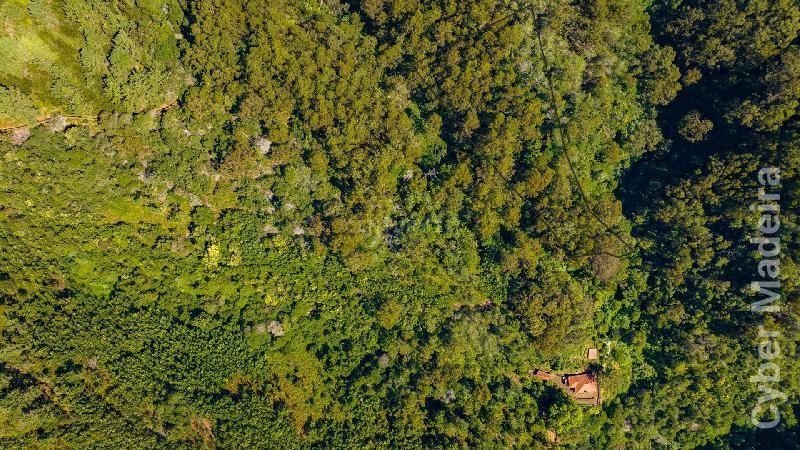Terreno T3 para Venda Santa Cruz, Morena