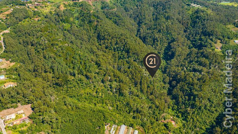 Terreno T3 para Venda Santa Cruz, Morena
