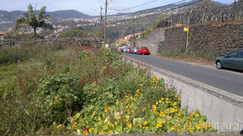 Terreno Outros para Venda Santo António, Santa Quitéria