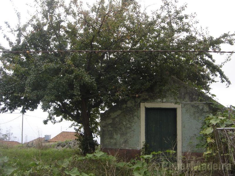 Moradia T2 para Venda Arco da Calheta, Cales e Chade