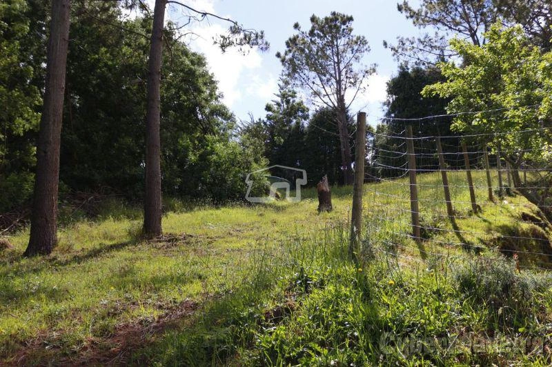 Herdade e Quinta T3 para Venda Santa Cruz, Santa Cruz