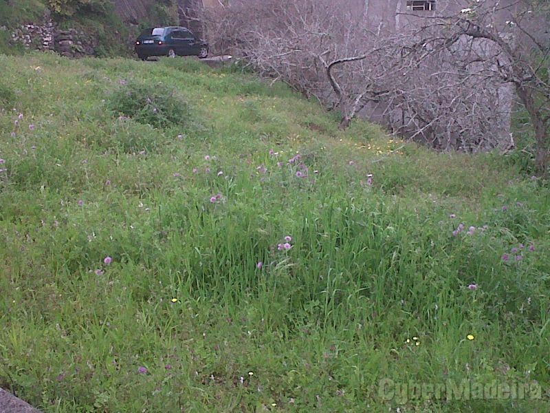 Terreno T3 para Venda 