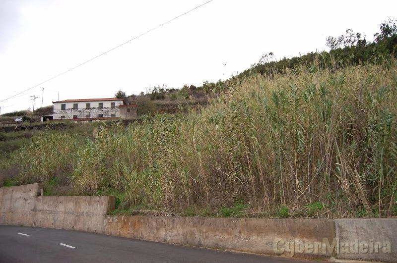 Terreno Outros para Venda Portugal, Ilha da Madeira, Santa Cruz, Gaula, Fonte,  