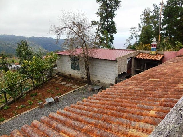 Prédio T3 para Venda São Roque do Faial, Chão do Cedro Gordo
