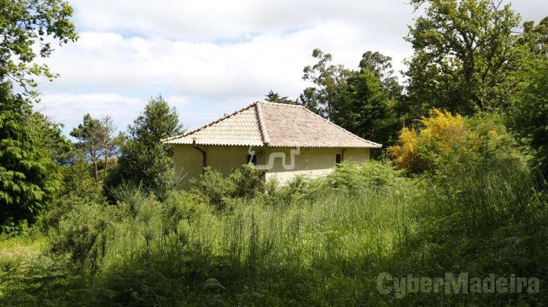 Herdade e Quinta T3 para Venda Santa Cruz, Santa Cruz