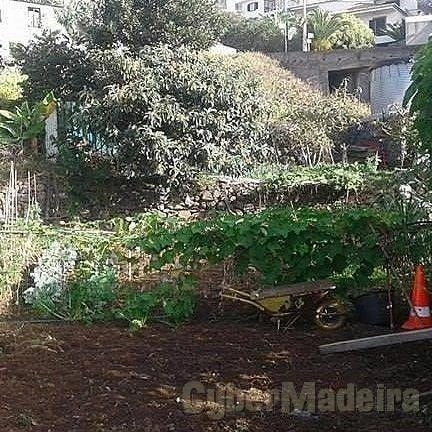 Terreno Outros para Arrendamento São Gonçalo, Boa Nova