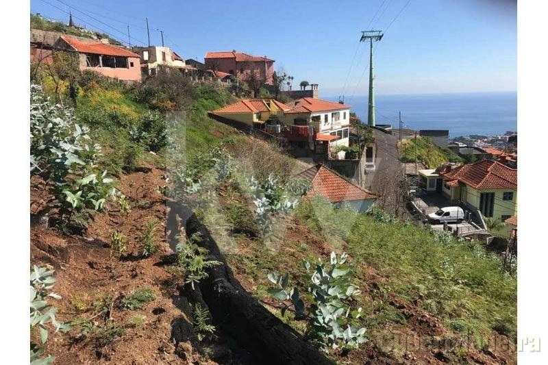 Terreno Outros para Venda Monte, Largo da Fonte