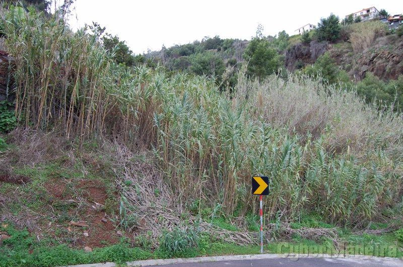 Terreno Outros para Venda Portugal, Ilha da Madeira, Santa Cruz, Gaula, Fonte,  