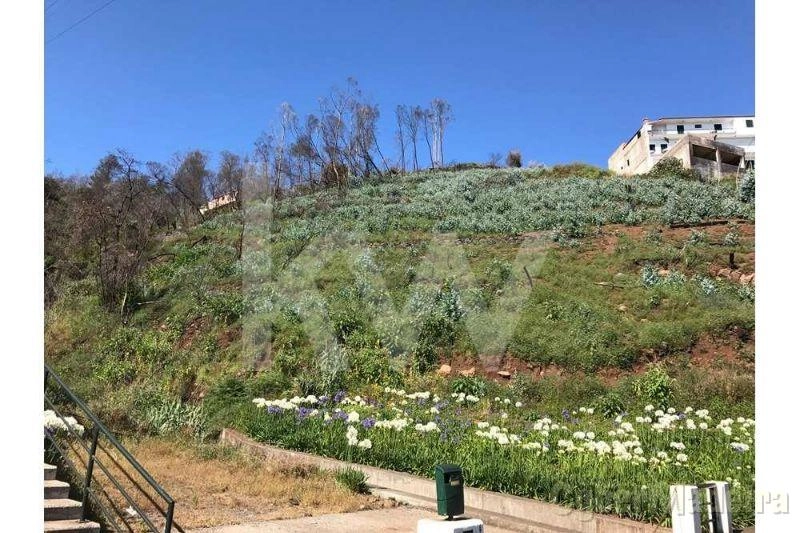 Terreno Outros para Venda Monte, Largo da Fonte