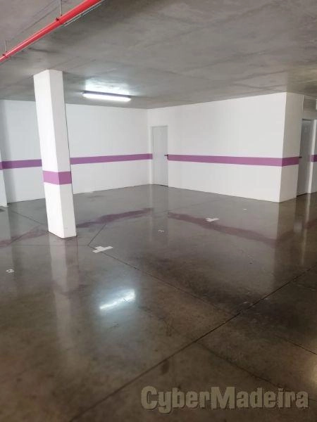 Apartamento T3 para Venda Santa Maria Maior, Conde Carvalhal