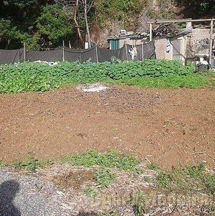 Terreno Outros para Arrendamento São Gonçalo, Boa Nova