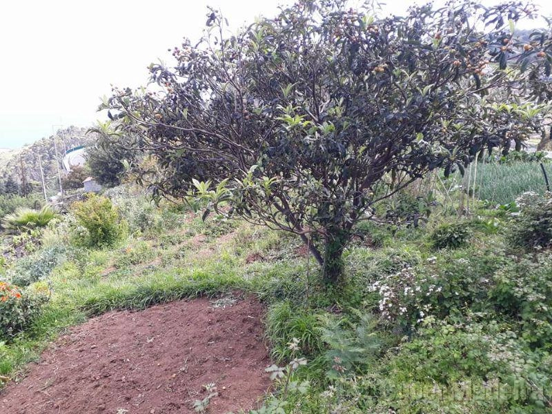 Moradia T5 para Venda Caniço, Eiras