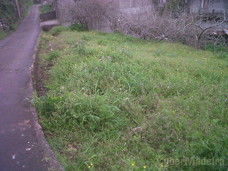 Terreno T3 para Venda 