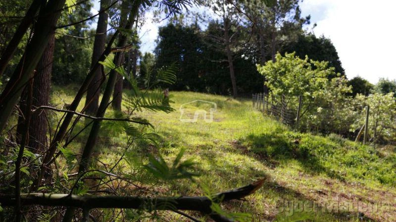 Herdade e Quinta T3 para Venda Santa Cruz, Santa Cruz
