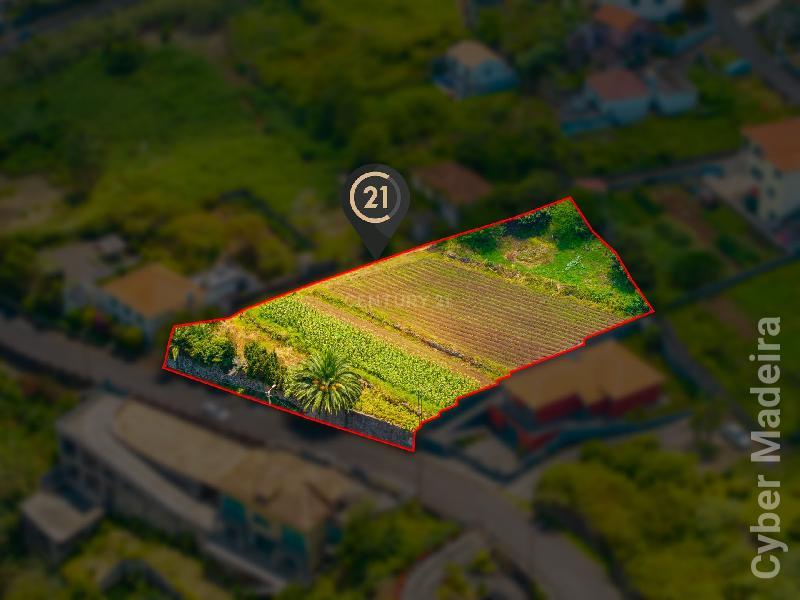 Terreno Outros para Venda São Vicente, Fajã do Amo
