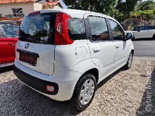 FIAT PANDA 1.2 LOUNGE Gasolina