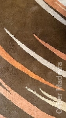 Tapete de sala