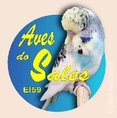 Periquitos ingleses