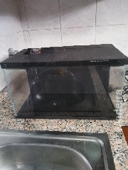 Xiaomi smart fish aquarium