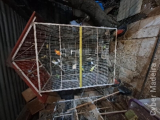 Vendo voadeira