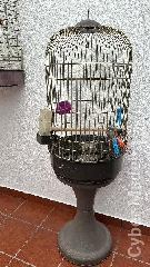 Vendo gaiola